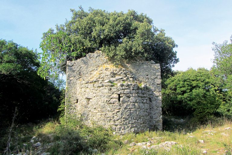 08-Štorija-o-galiji